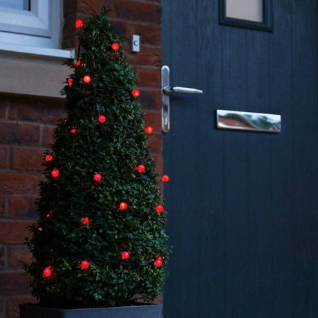 connectgo-led-berry-lights-green-cable