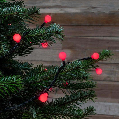 ConnectGo® Outdoor LED Berry Lights, Connectable, Dark Green Cable