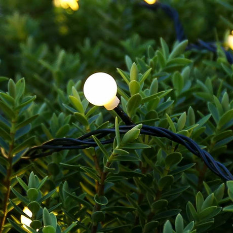 ConnectGo® Outdoor LED Berry Lights, Connectable, Dark Green Cable
