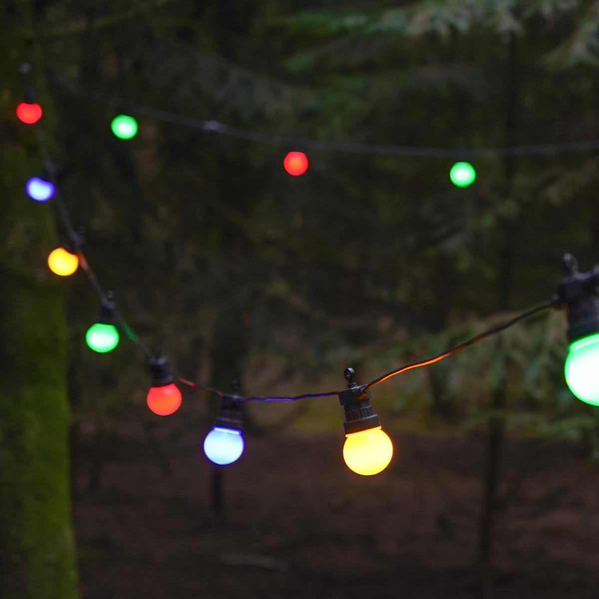 connectgo-festoon-lights-connectable-frosted-cap-multi-bulbs-black-cable