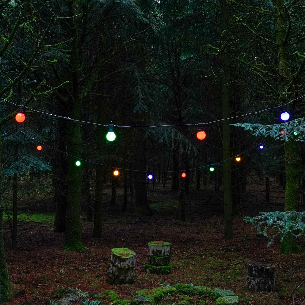 connectgo-festoon-lights-connectable-frosted-cap-multi-bulbs-black-cable