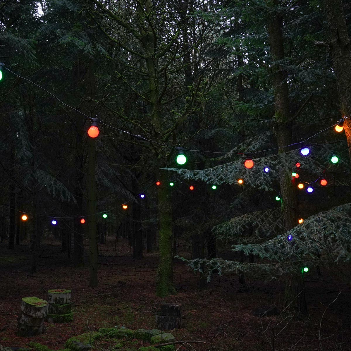 connectgo-festoon-lights-connectable-frosted-cap-multi-bulbs-black-cable