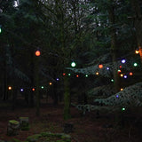connectgo-festoon-lights-connectable-frosted-cap-multi-bulbs-black-cable