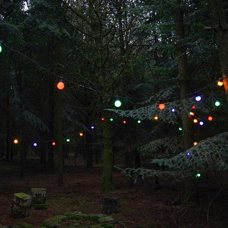 connectgo-festoon-lights-connectable-frosted-cap-multi-bulbs-black-cable