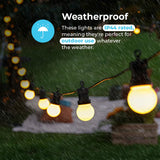 ConnectGo® Festoon Lights, Connectable, Frosted LED Bulbs