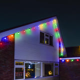 connectgo-festoon-lights-connectable-frosted-cap-multi-bulbs-black-cable