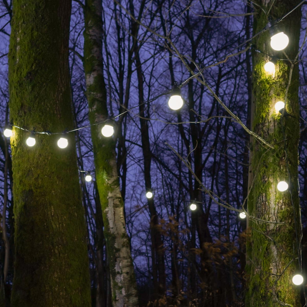 ConnectGo® Festoon Lights, Connectable, Frosted LED Bulbs