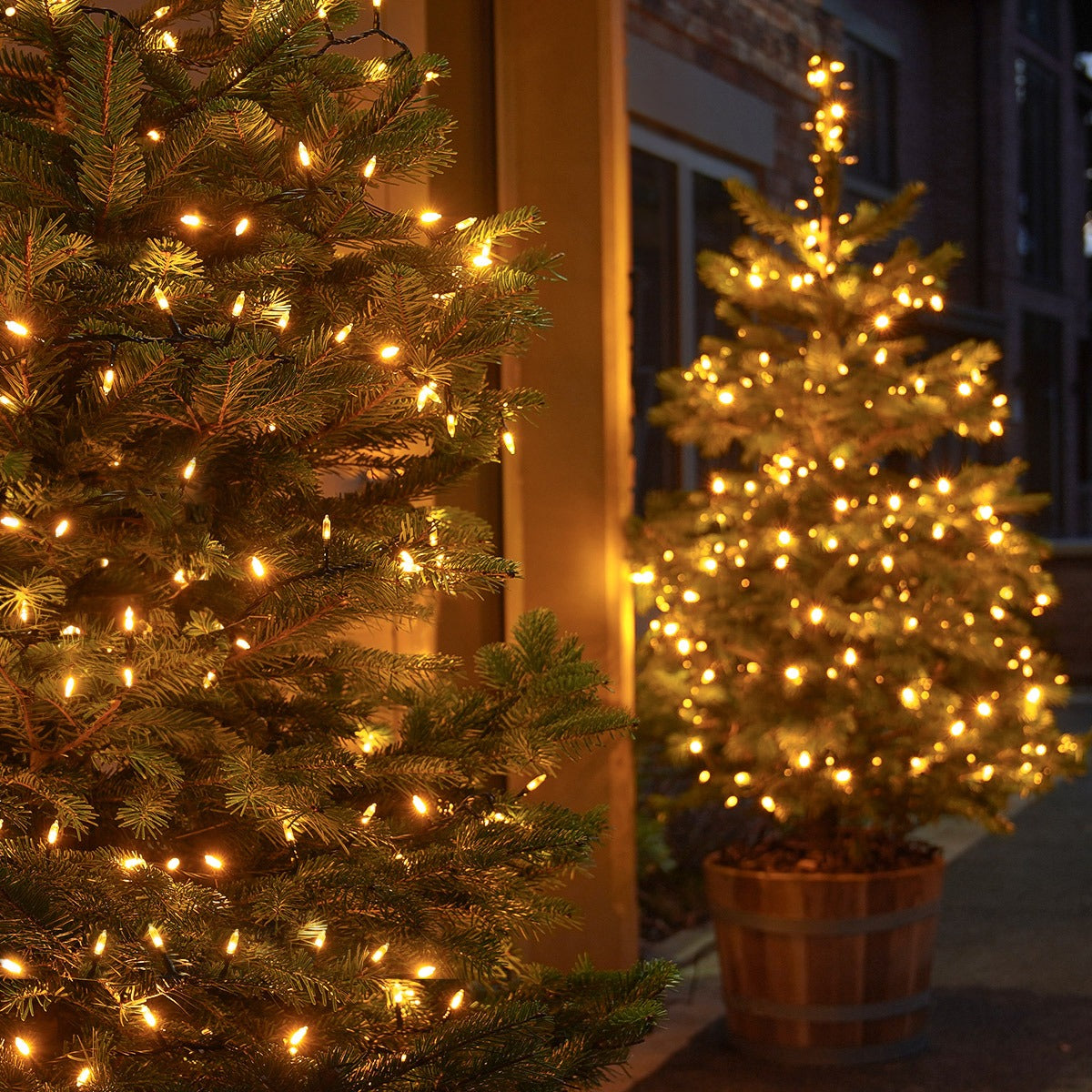 5m-string-lights-traditional-50-leds