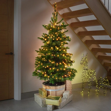 5m-string-lights-traditional-50-leds