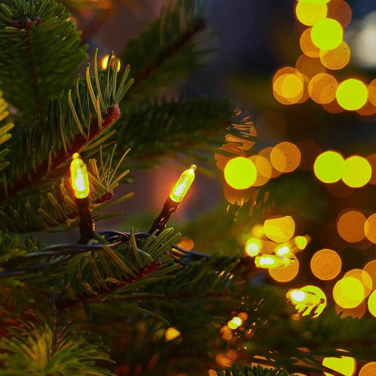 5m-string-lights-traditional-50-leds