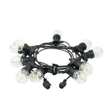 Connectable Festoon Lights with G50 Clear Filament Effect Bulbs on Black Rubber Cable