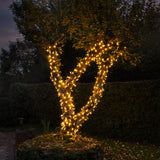 ConnectGo® Warm White Connectable Outdoor Fairy Lights Clear Rubber Cable