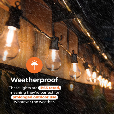 a60-festoon-single-warm-white-filament