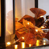 2m Battery Silver Firefly Wire Fairy Lights, 20 LEDs