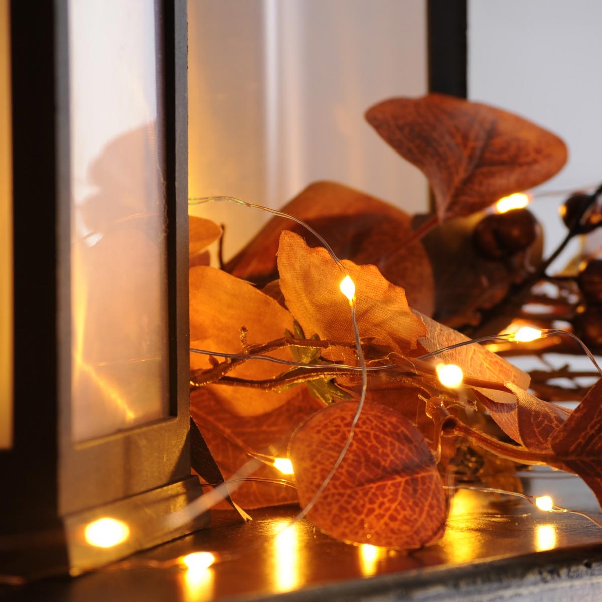 2m Battery Silver Firefly Wire Fairy Lights, 20 LEDs