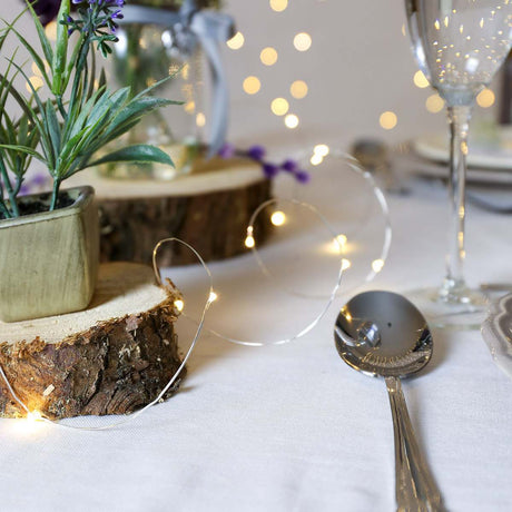 2m Battery Silver Firefly Wire Fairy Lights, 20 LEDs