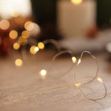2m Battery Silver Firefly Wire Fairy Lights, 20 LEDs
