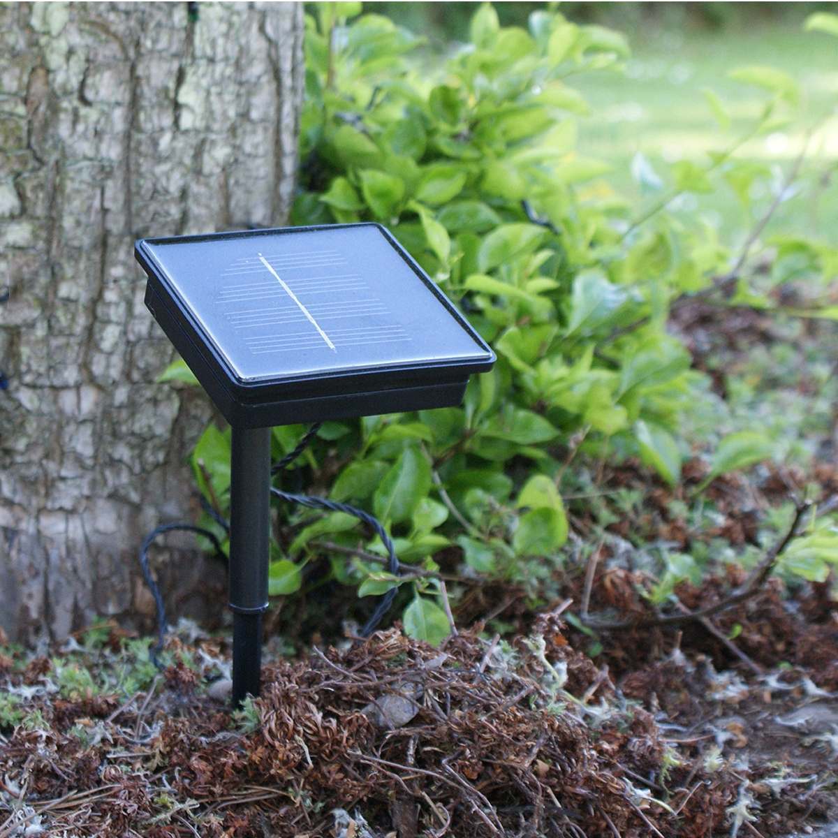 Solar Powered Multi Function LED Fairy Lights