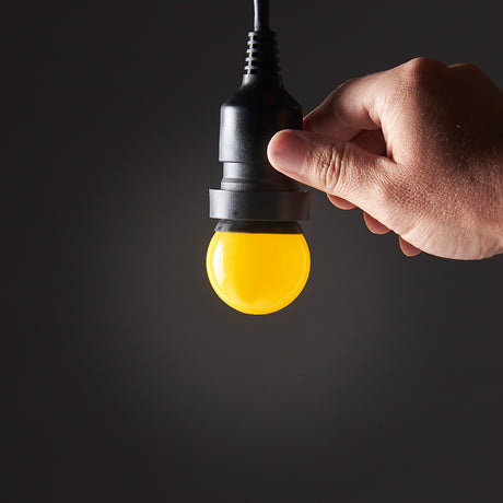 FestoonPro® E27 LED Festoon Bulb