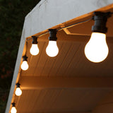 E27 LED A60 Festoon Bulb