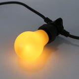 E27 LED A60 Festoon Bulb
