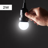 FestoonPro® 2W E27 LED Festoon Bulb