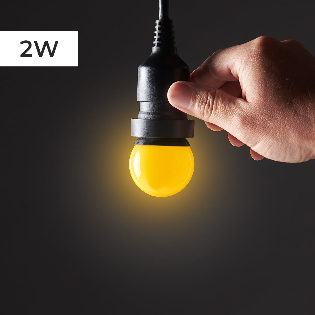 FestoonPro® 2W E27 LED Festoon Bulb