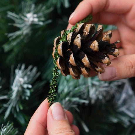 Noble Pine Ornament Ties, 100 Pack