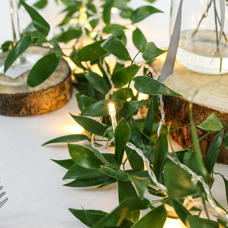 3.2m Indoor Fairy Lights, 40 LEDs, Clear Cable