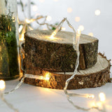3.2m Indoor Fairy Lights, 40 LEDs, Clear Cable