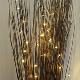3.2m Indoor Fairy Lights, 40 LEDs, Clear Cable