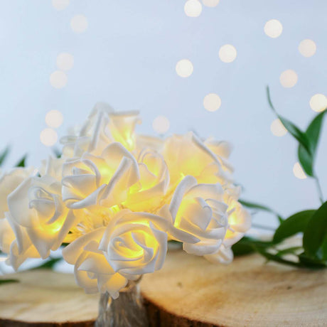 Battery Rose Fairy Lights, 20 Warm White LEDs, 3.8m
