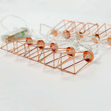 Battery Rose Gold Metal Lantern Fairy Lights, 10 Warm White LEDs