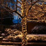 ConnectGo® Outdoor LED Fairy Lights, Connectable, Dark Green Cable
