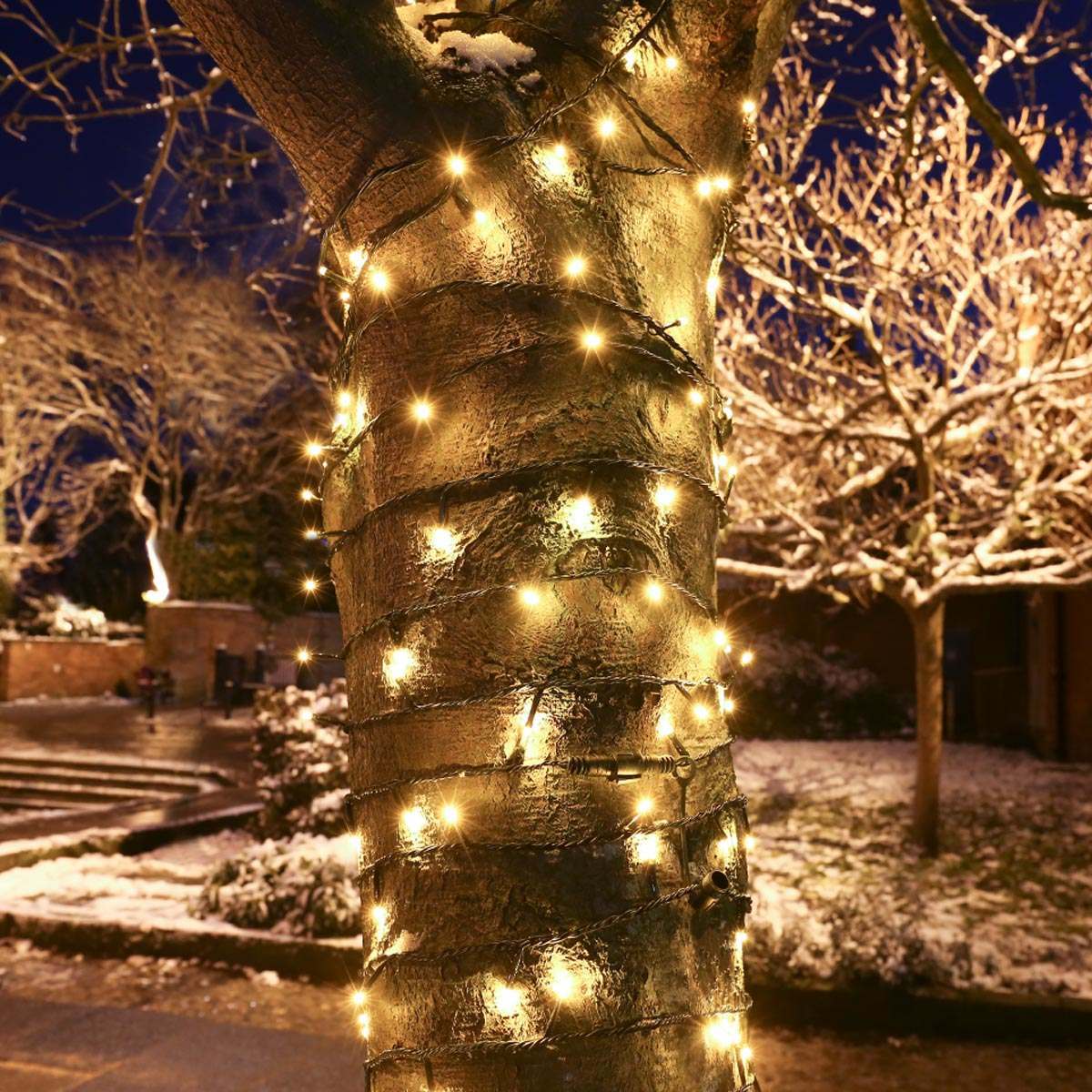 connectgo-outdoor-led-fairy-lights-connectable-dark-green-cable