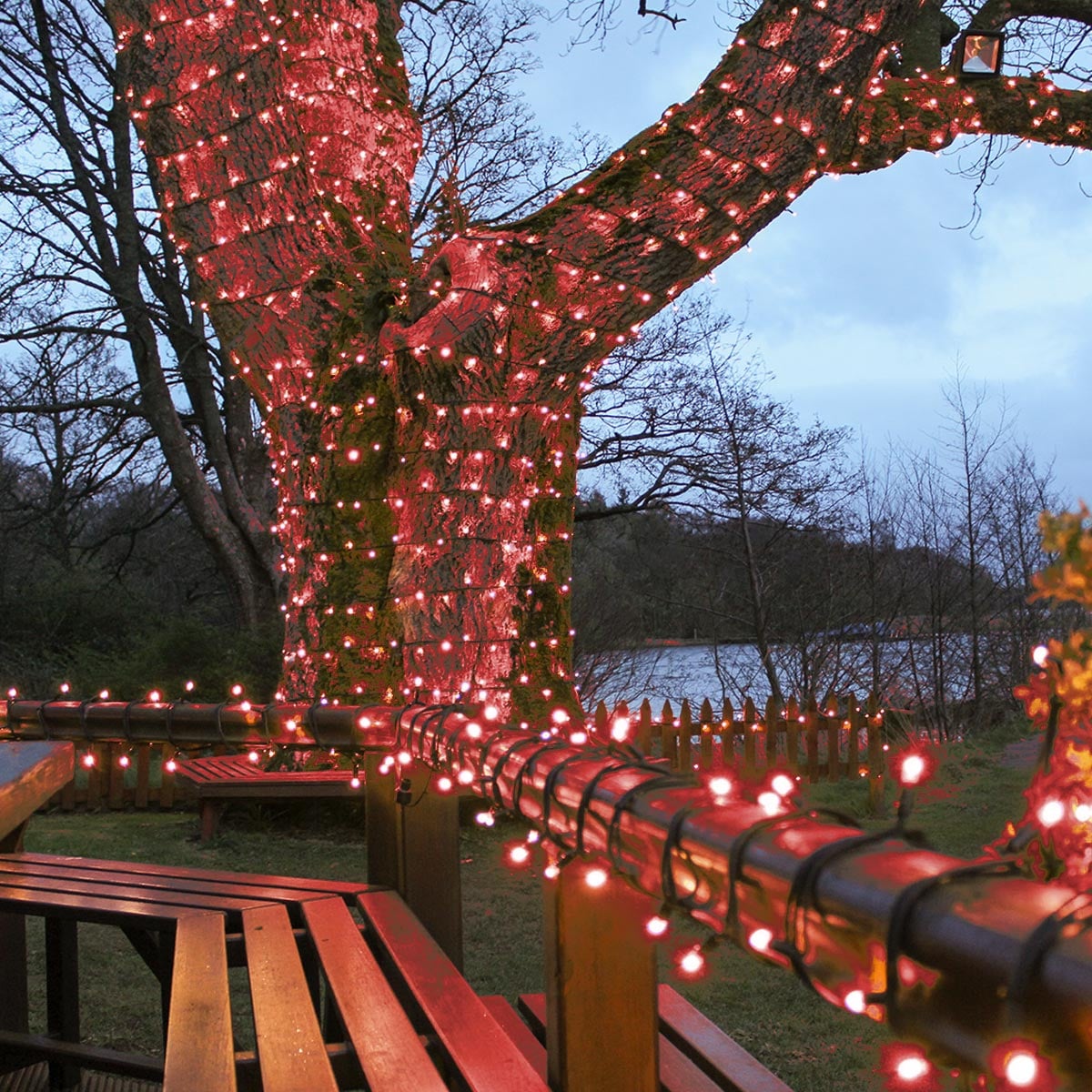 Connectable Outdoor String Lights on Black Rubber Cable