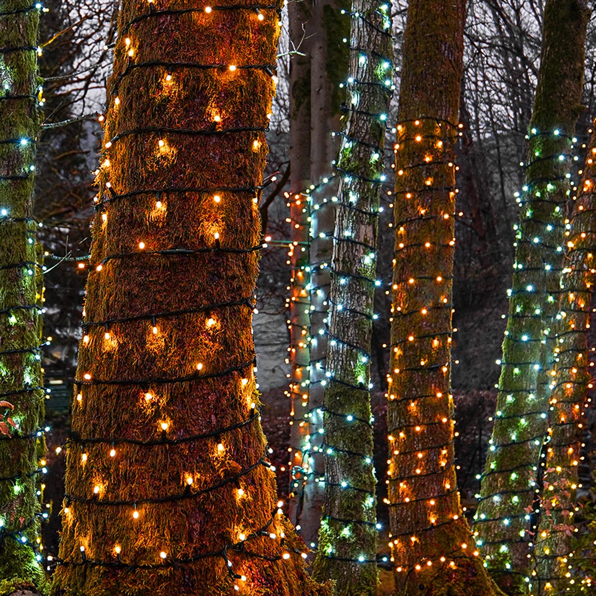 outdoor-led-string-fairy-lights-connectable-black-rubber-cable