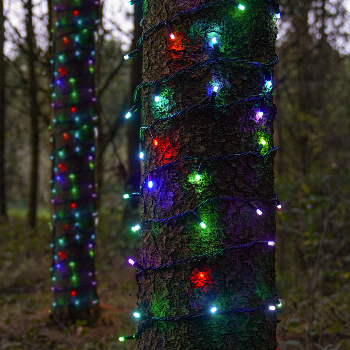 ConnectPro® Colour Changing LED String Lights, Connectable, Black Cable