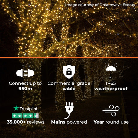 ConnectPro® Outdoor String Lights, Warm White with White Flash LED, Black Rubber Cable