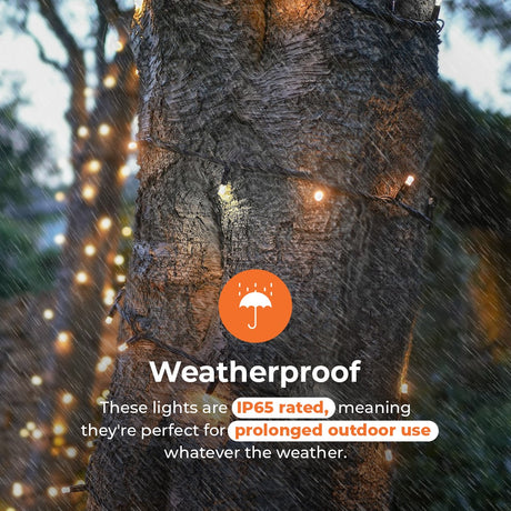 ConnectPro® Outdoor String Lights, Warm White with White Flash LED, Black Rubber Cable