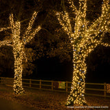 ConnectPro® Outdoor String Lights, Warm White with White Flash LED, Black Rubber Cable