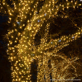 ConnectPro® Outdoor String Lights, Warm White with White Flash LED, Black Rubber Cable