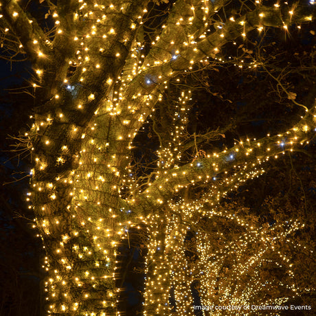 ConnectPro® Outdoor String Lights, Warm White with White Flash LED, Black Rubber Cable