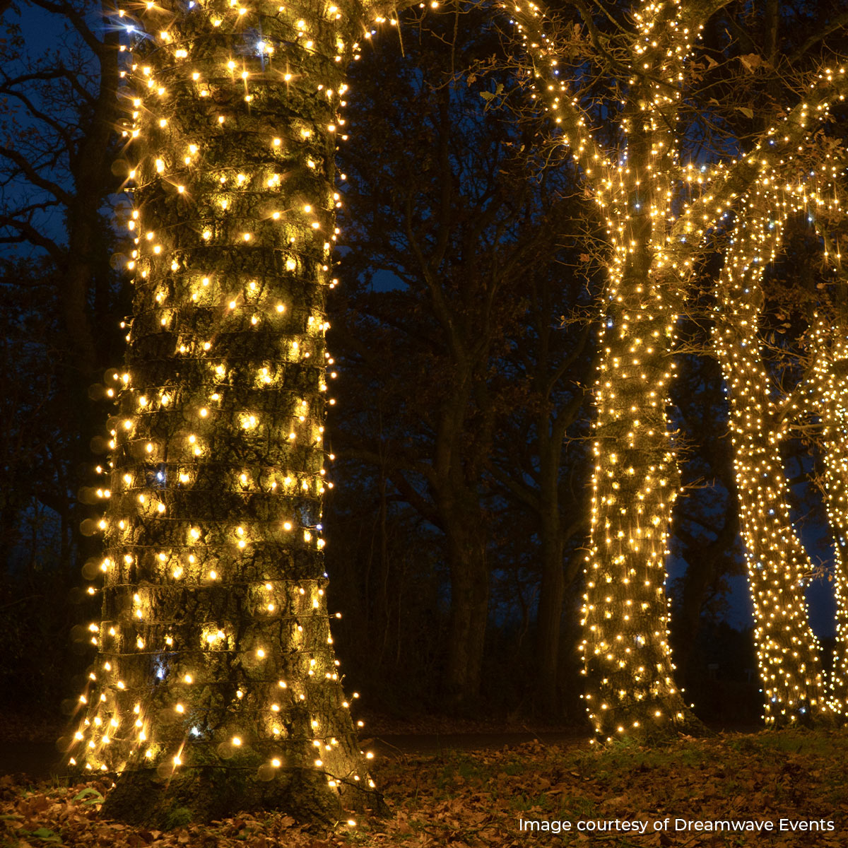 ConnectPro® Outdoor String Lights, Warm White with White Flash LED, Black Rubber Cable