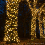 ConnectPro® Outdoor String Lights, Warm White with White Flash LED, Black Rubber Cable