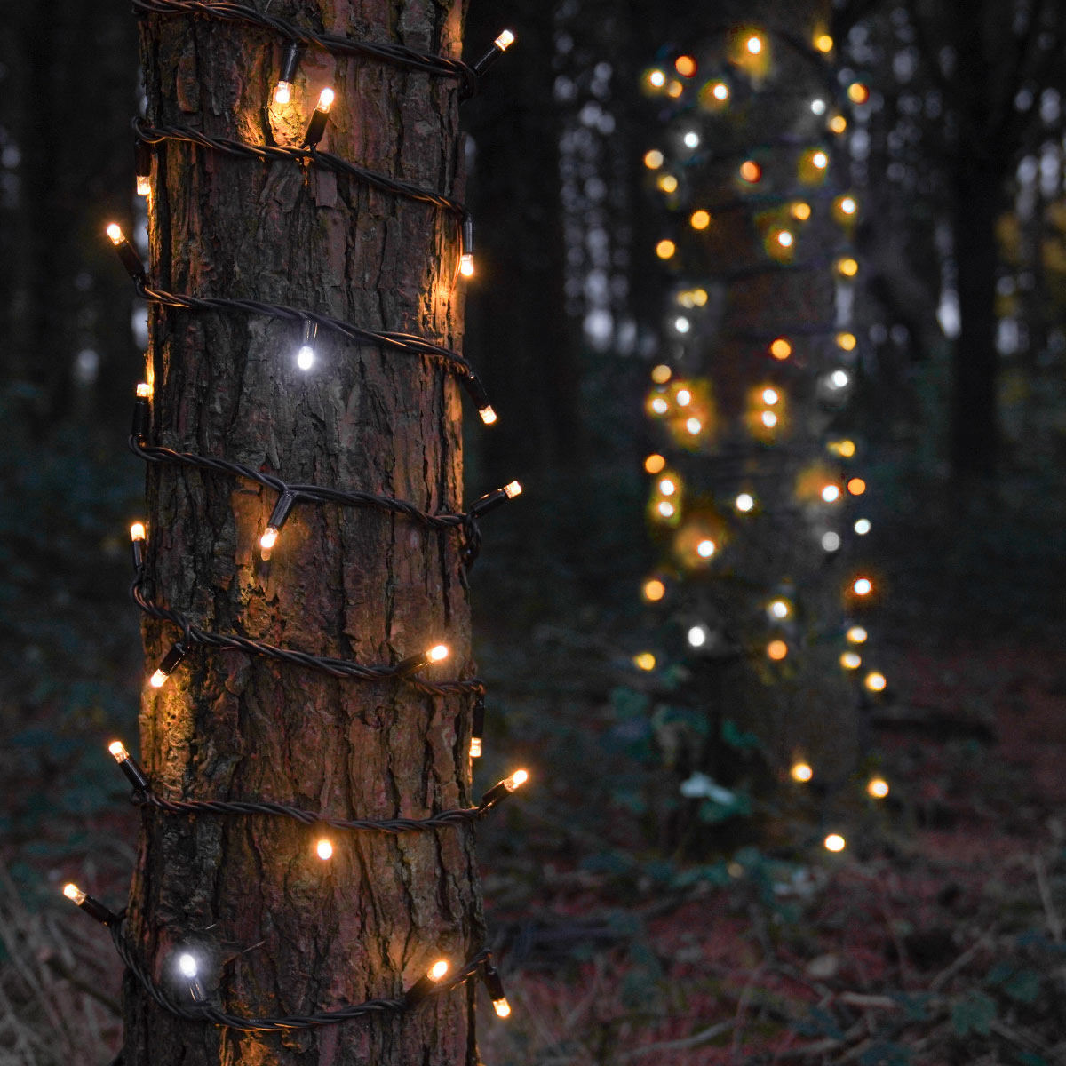 ConnectPro® Outdoor String Lights, Warm White with White Flash LED, Black Rubber Cable