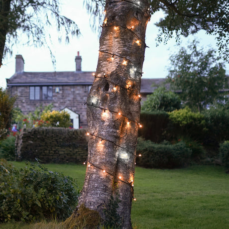 ConnectPro® Outdoor String Lights, Warm White with White Flash LED, Black Rubber Cable