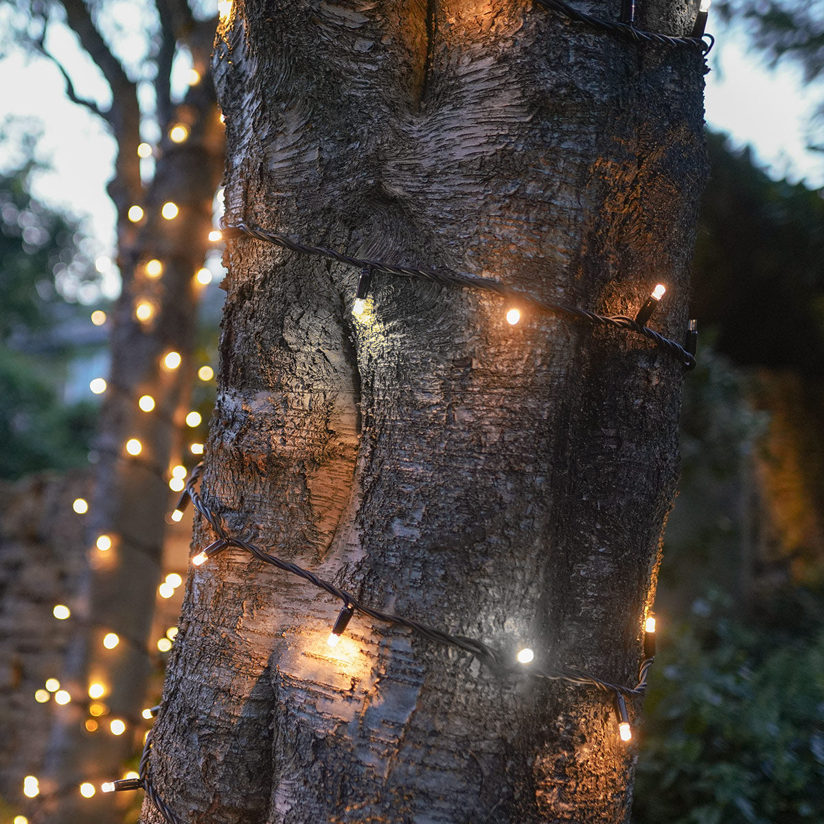 ConnectPro® Outdoor String Lights, Warm White with White Flash LED, Black Rubber Cable