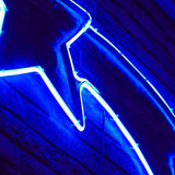 ConnectPro® 1.2m Connectable LED Neon Flex Outdoor Shooting Star Light