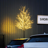 ConnectPro® 5m Commercial Warm White Twinkle Outdoor LED Tree